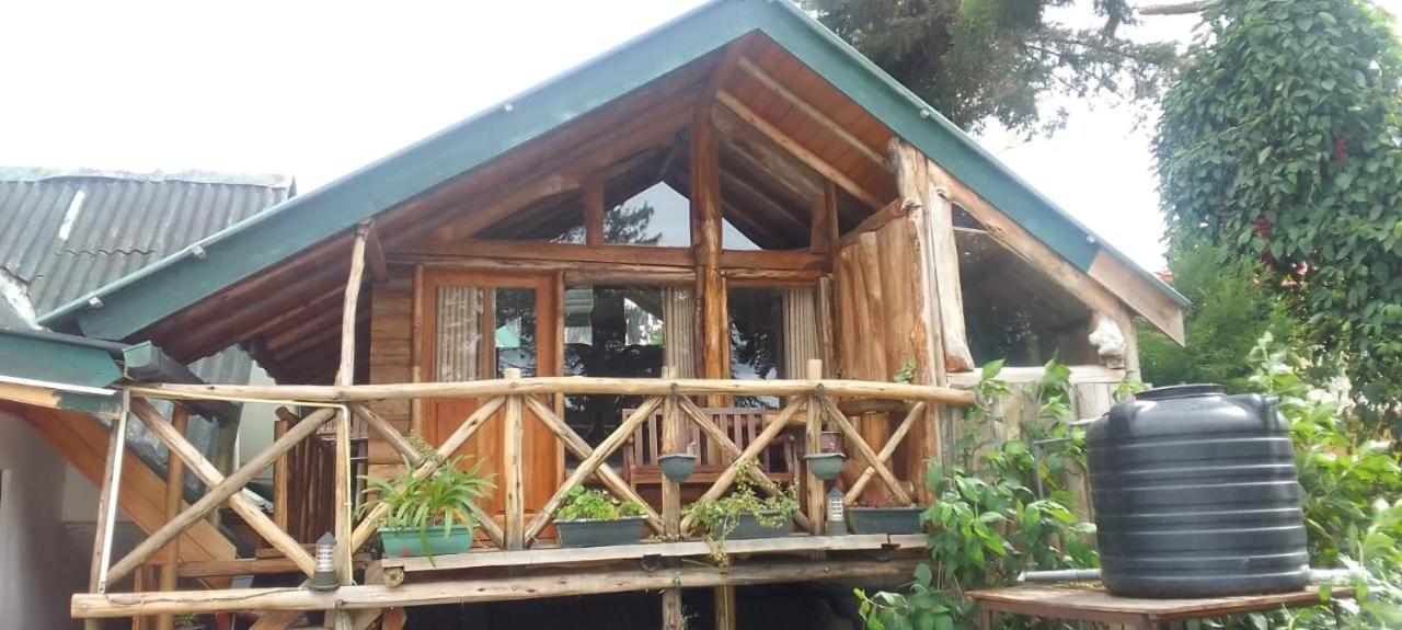 Eco Creations Nuwaraeliya Ξενοδοχείο Νουβάρα Ελίγια Εξωτερικό φωτογραφία